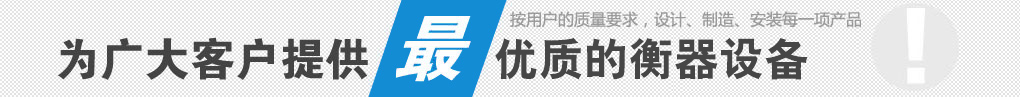 上海讚維（wéi）衡器有（yǒu）限公（gōng）司